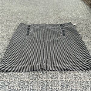 Striped Blue and White Skirt
